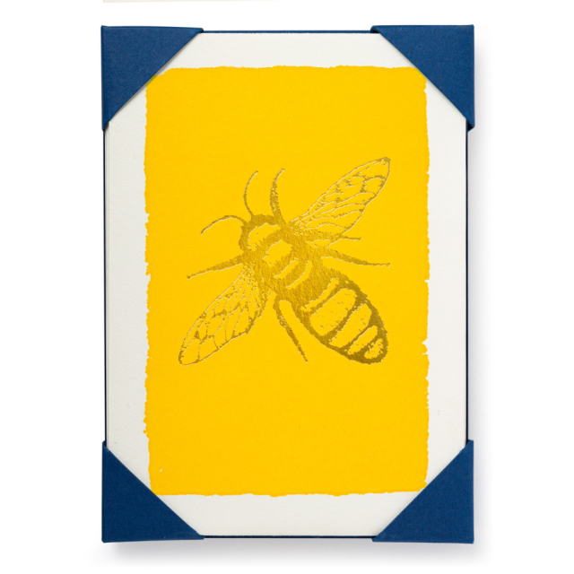 Bee Note Cards - (Pack of 5)