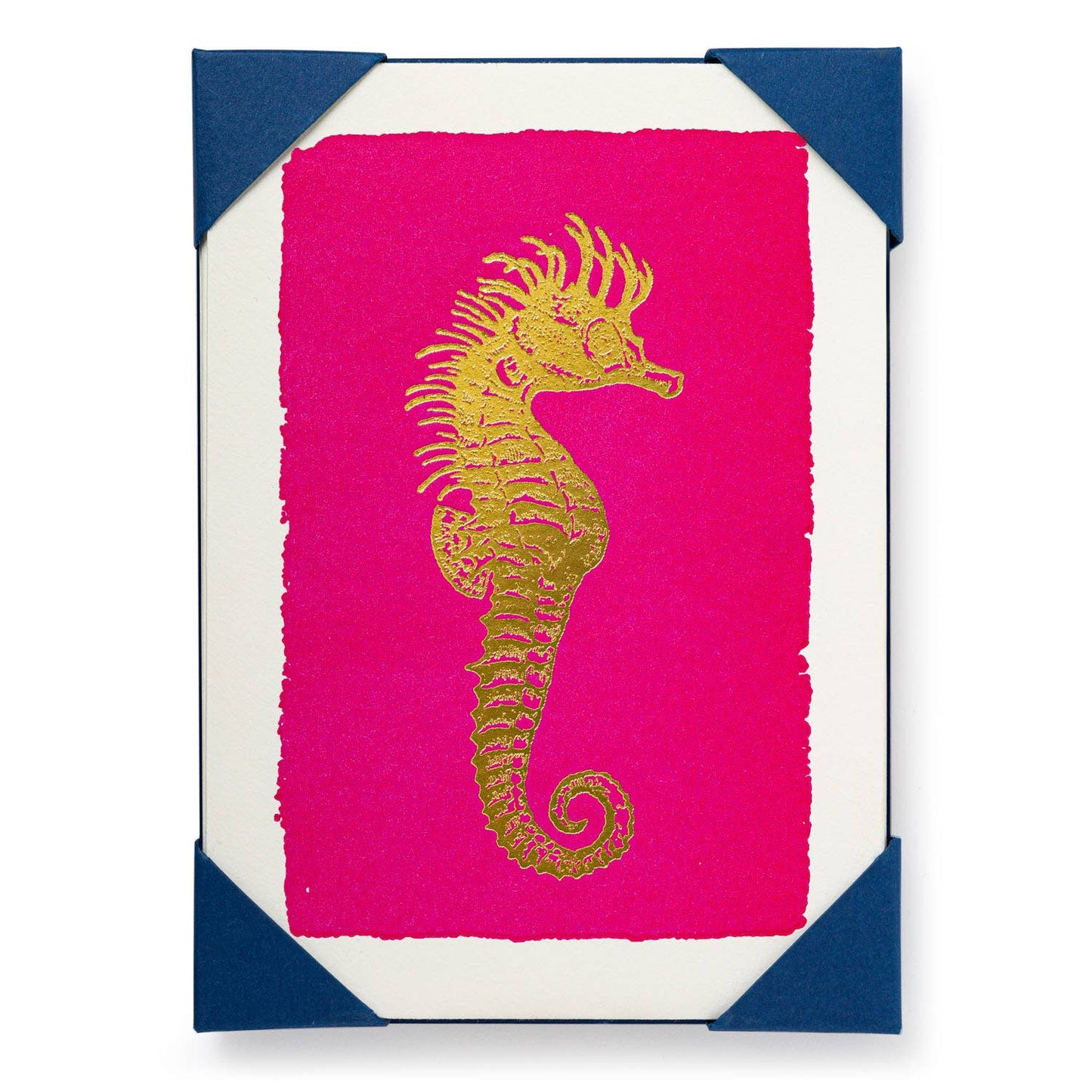 Seahorse (5-Pack) Notelet Cards