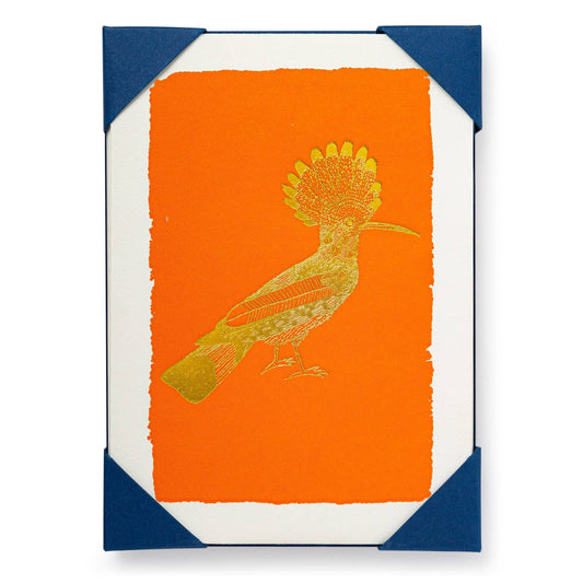 Orange Hoopoe Notecards - (Pack of 5)